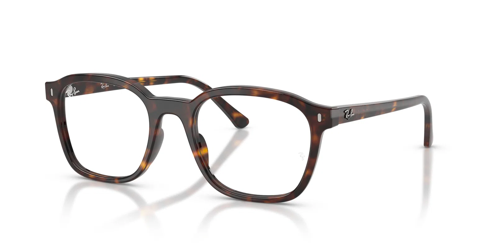 Ray-Ban 5460 Eyeglasses - view 24